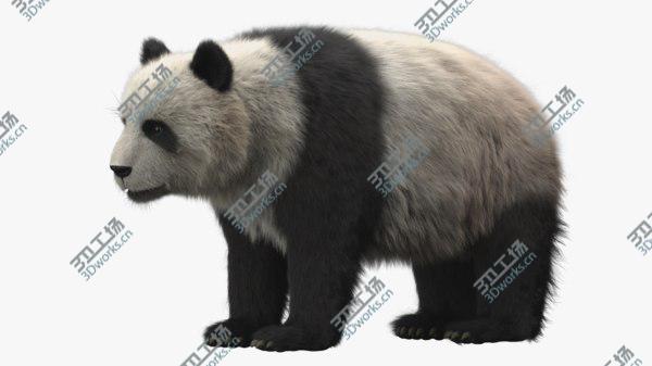 images/goods_img/20210312/Giant Panda 3D model/1.jpg